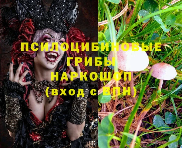 ГАЛЛЮЦИНОГЕННЫЕ ГРИБЫ Коряжма