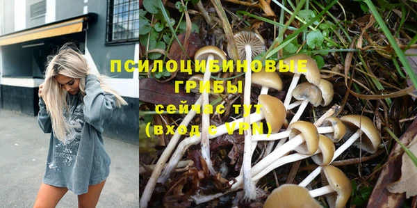 герыч Костерёво
