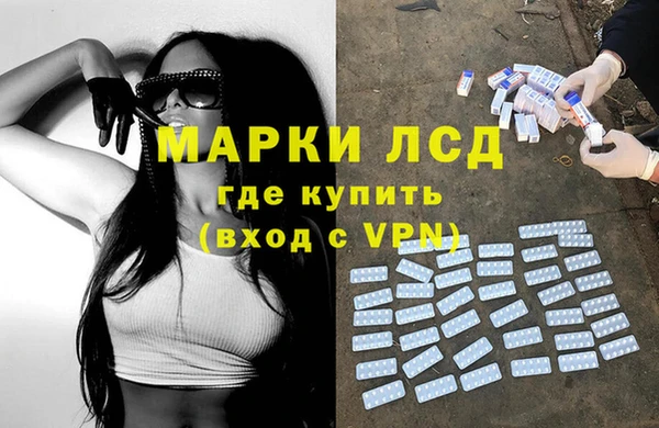 ГАЛЛЮЦИНОГЕННЫЕ ГРИБЫ Коряжма