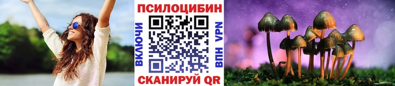 Псилоцибиновые грибы Psilocybe kraken ссылки Малгобек закладки